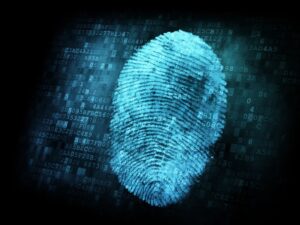 Identity Thief