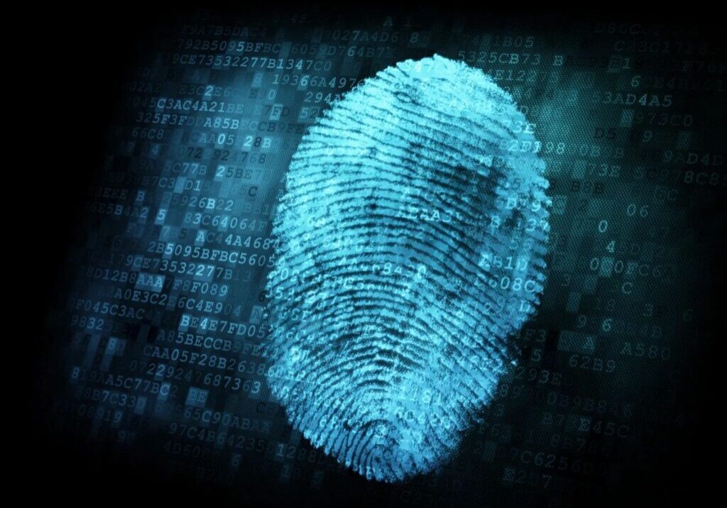 Identity Thief